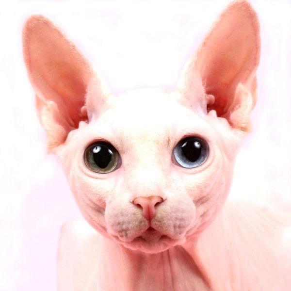 Екатерина Филиппова