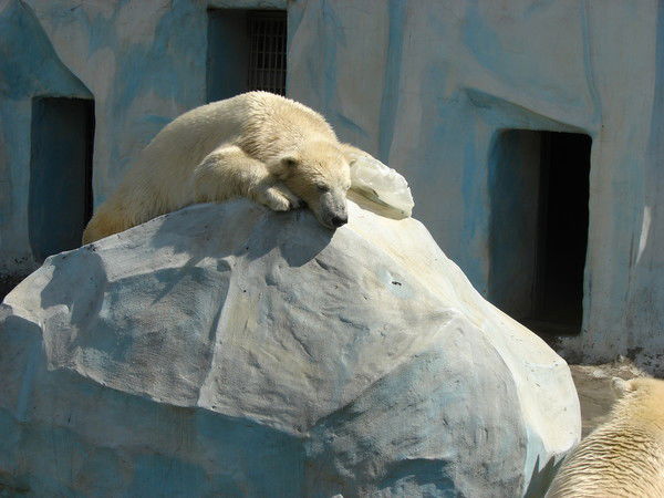 Виталий Усов