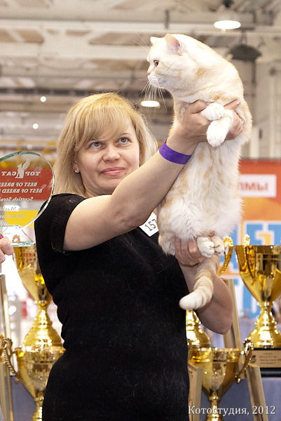 Наталия Романюк