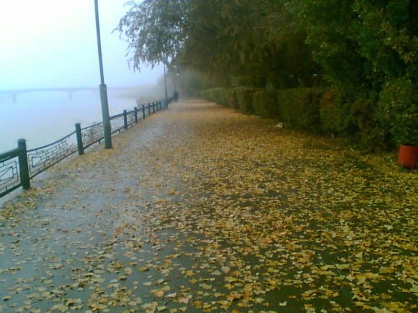 Шолпан Шаденова