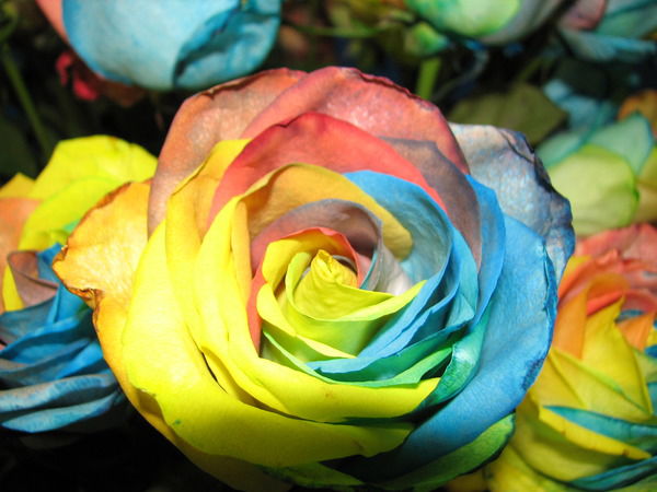 Оксана Ионова