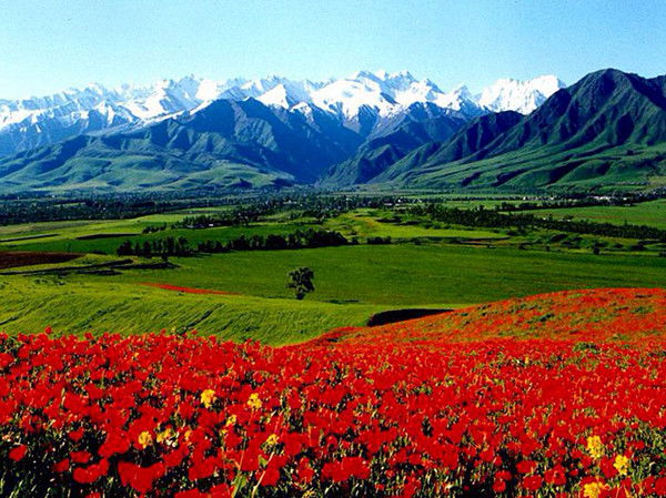 Aika Kubanychbek Kyzy