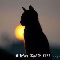 Настя Юдина