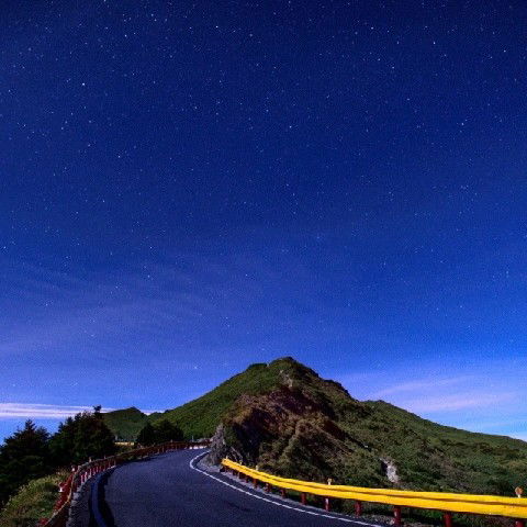 Андрей Коваленко