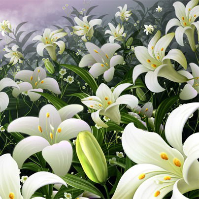 Василиса Кадачигова