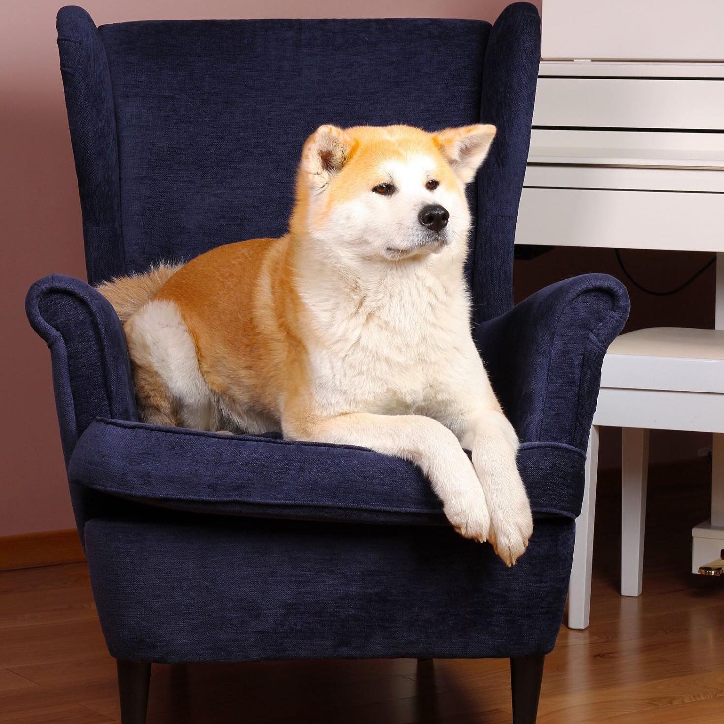 Лара Пяткова