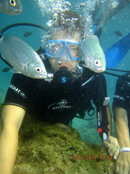 Александр Воронов