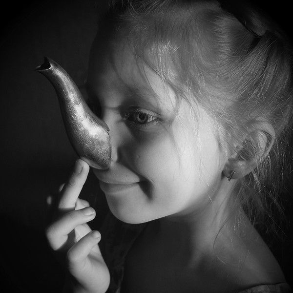 Регина Слоник