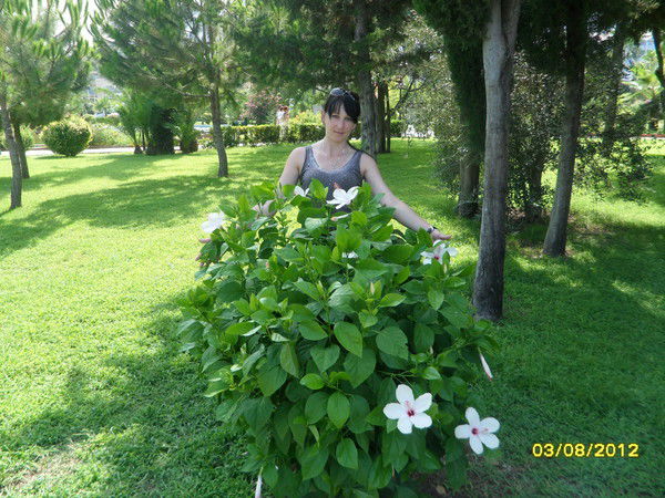 Ирина Азарова