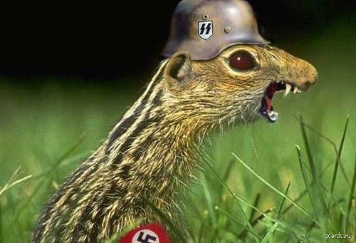 Неизвестно Неизвестно