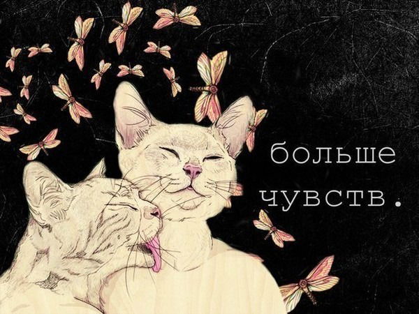 Асель Абильдинова