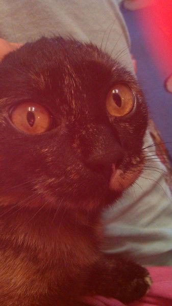 Багира Нафанина