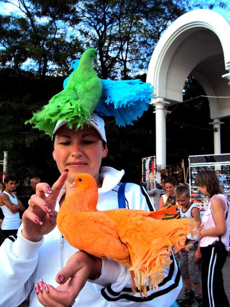 Наталья Зачесова