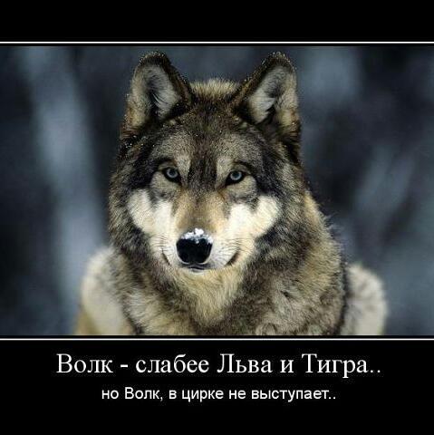 Дерзкий Пацан