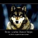 Дерзкий Пацан