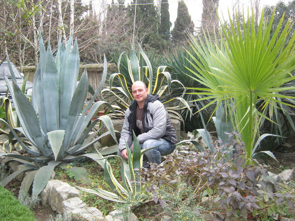 Дмитрий Краев