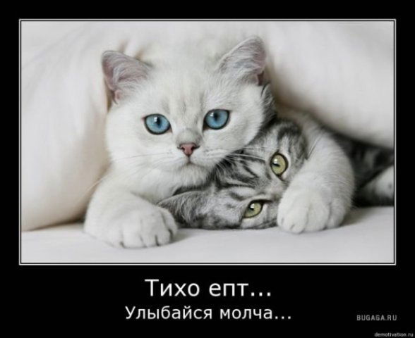 Ульяна Шимко(Пищик)