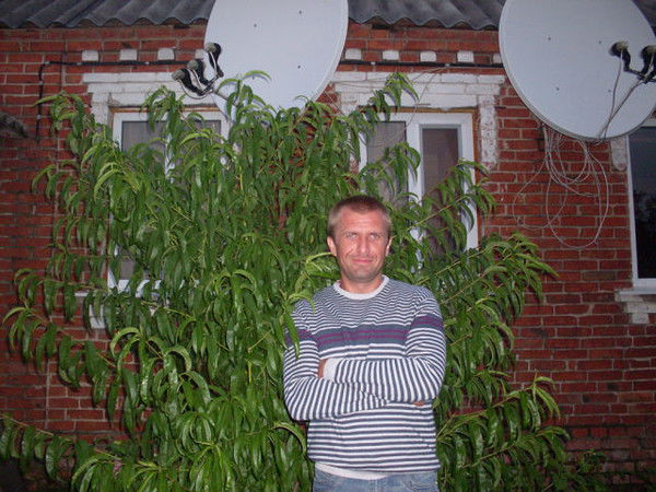 Роман Довбыш