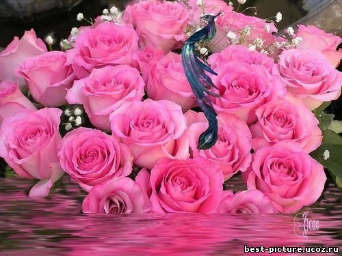 Гульнара Муминова