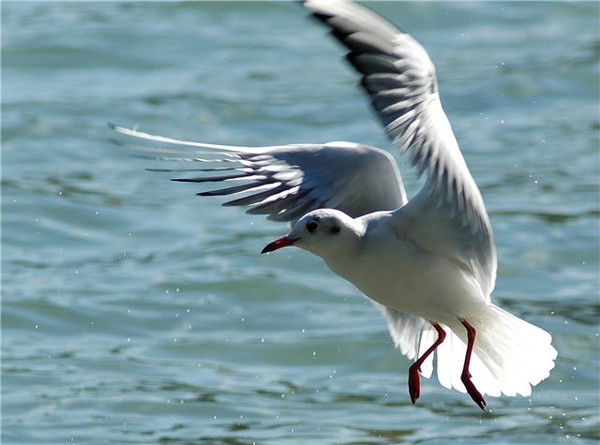 Анастасия Суховеева
