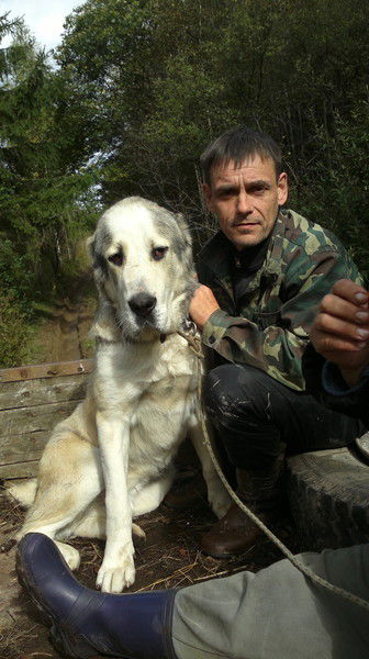 Сергей Быков