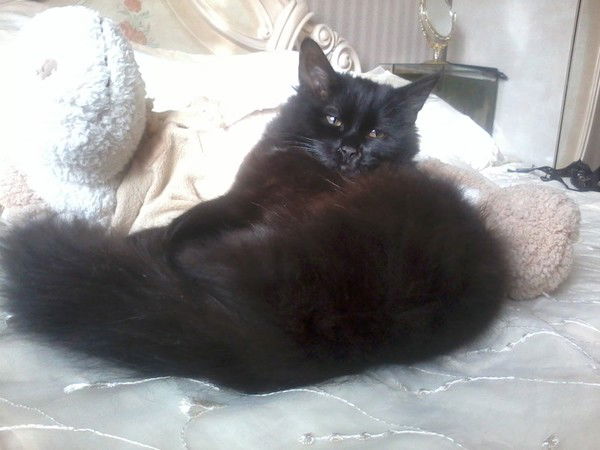 Ольга Габрись