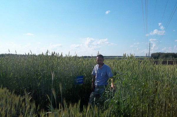 Тимур Искаков