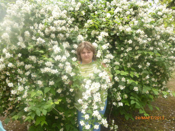 Таня Курмашева