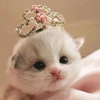 Лидия Пасынкова