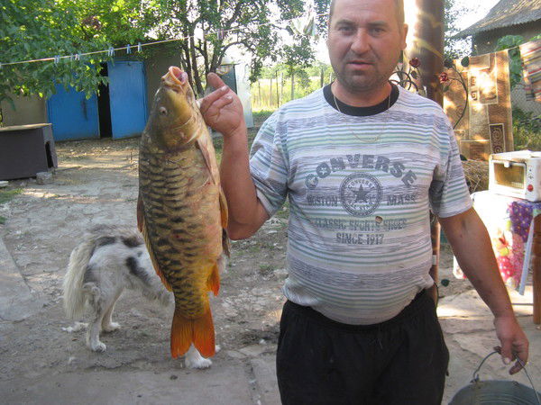 Иванков Мазур