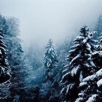 Арина Музыченко