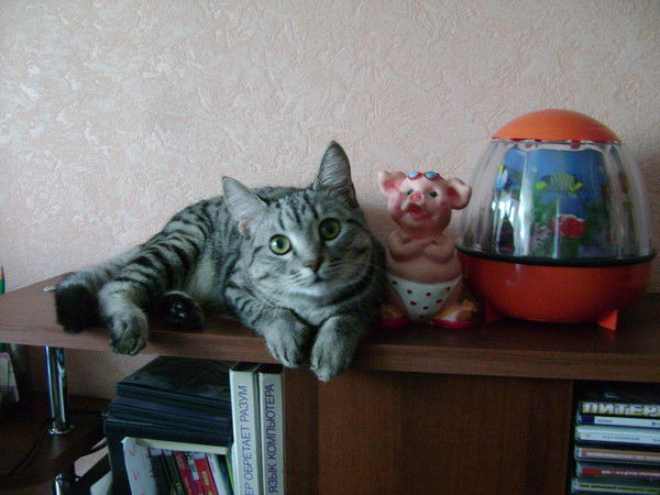 Илья Александрович Сомов