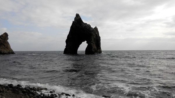 Светлана Коктебель