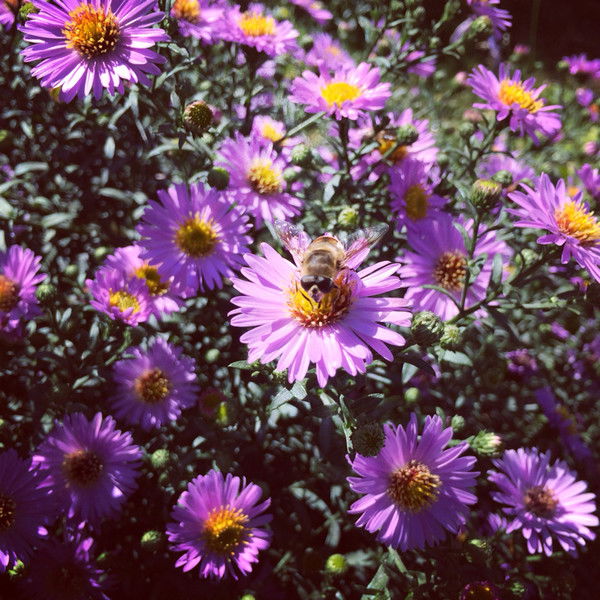 Владимир Приходько