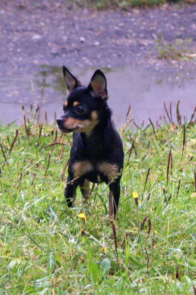 Света Гераськова