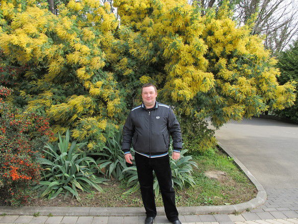 Илья Владимирович