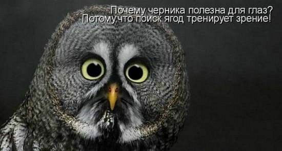 Людмила Бессмолая