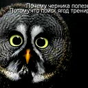 Людмила Бессмолая