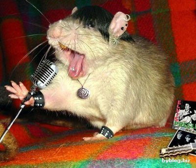 Игорь Анисимов