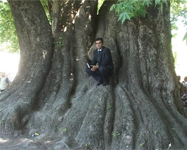 Ширинчон Сафарзода