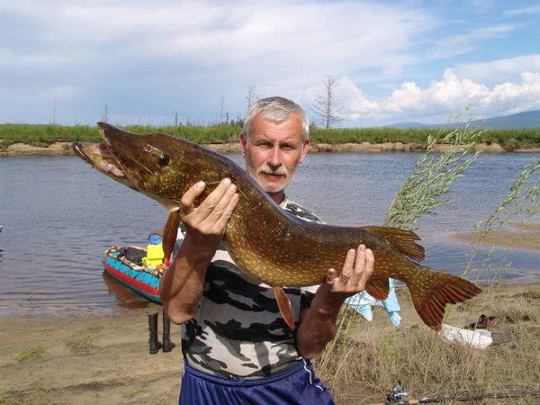 Владимир Бешнов