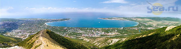 Ольга Терещенко