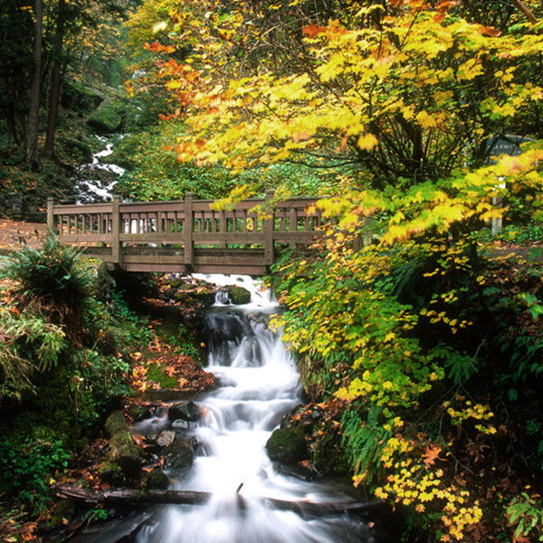 Марина Вечтомова