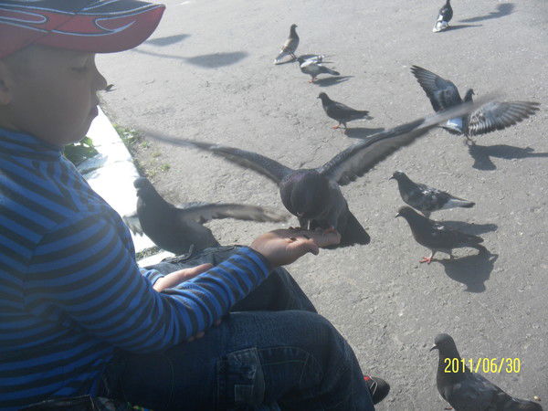 Сергей Владимирович