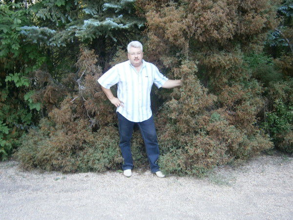 Анатолий Бобылев