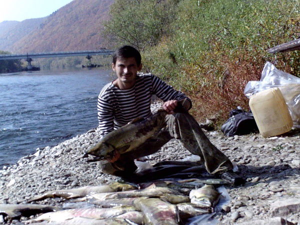 Александр Мурашко