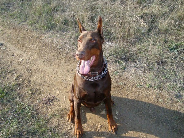 Александр Куприянов