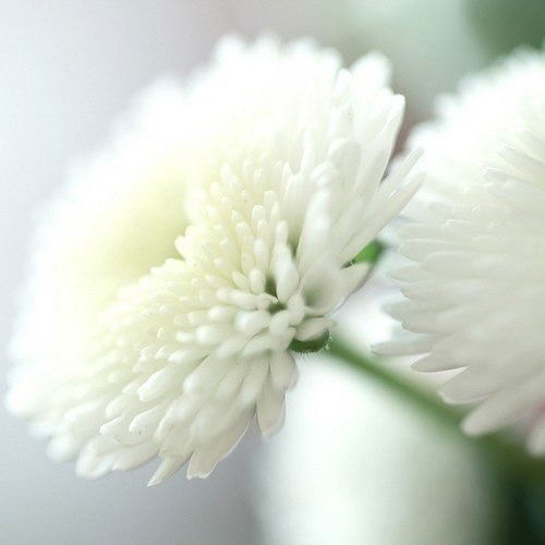 Наталья Прилуцкая