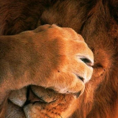 Галя Грошова