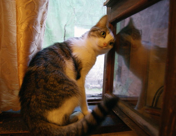 Лада Валерьевна